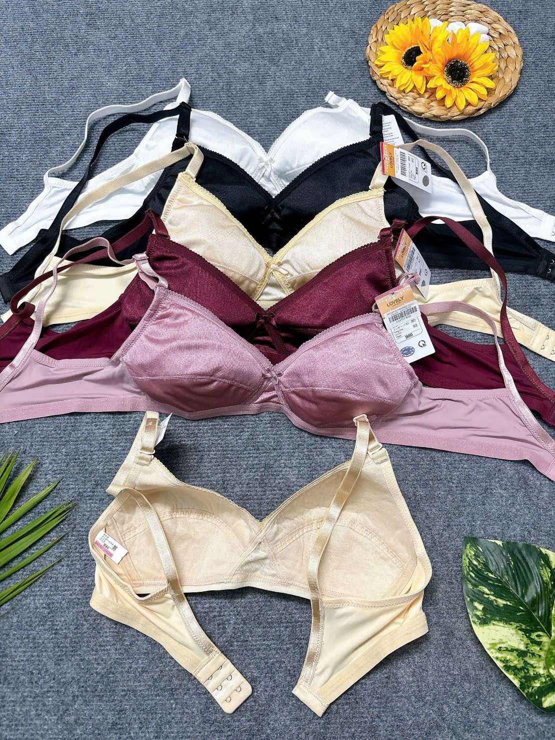 Áo không mút không gọng 631