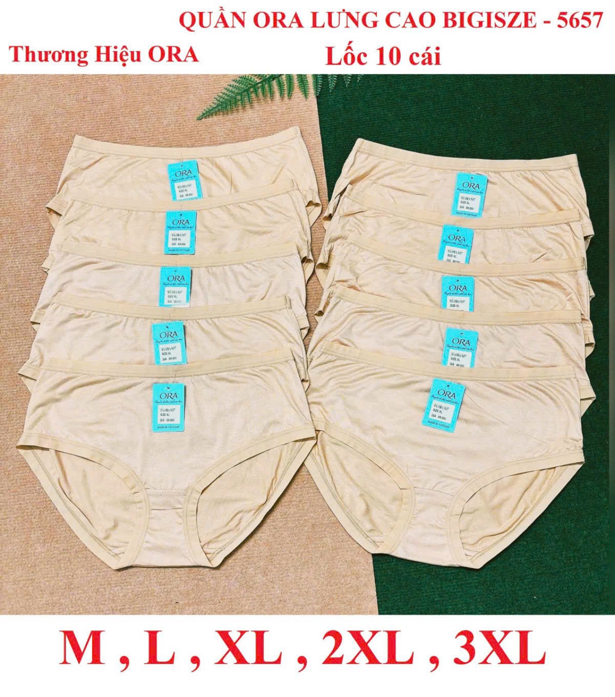 Block 5 cái quần lót nữ cotton lưng cao ORA5657