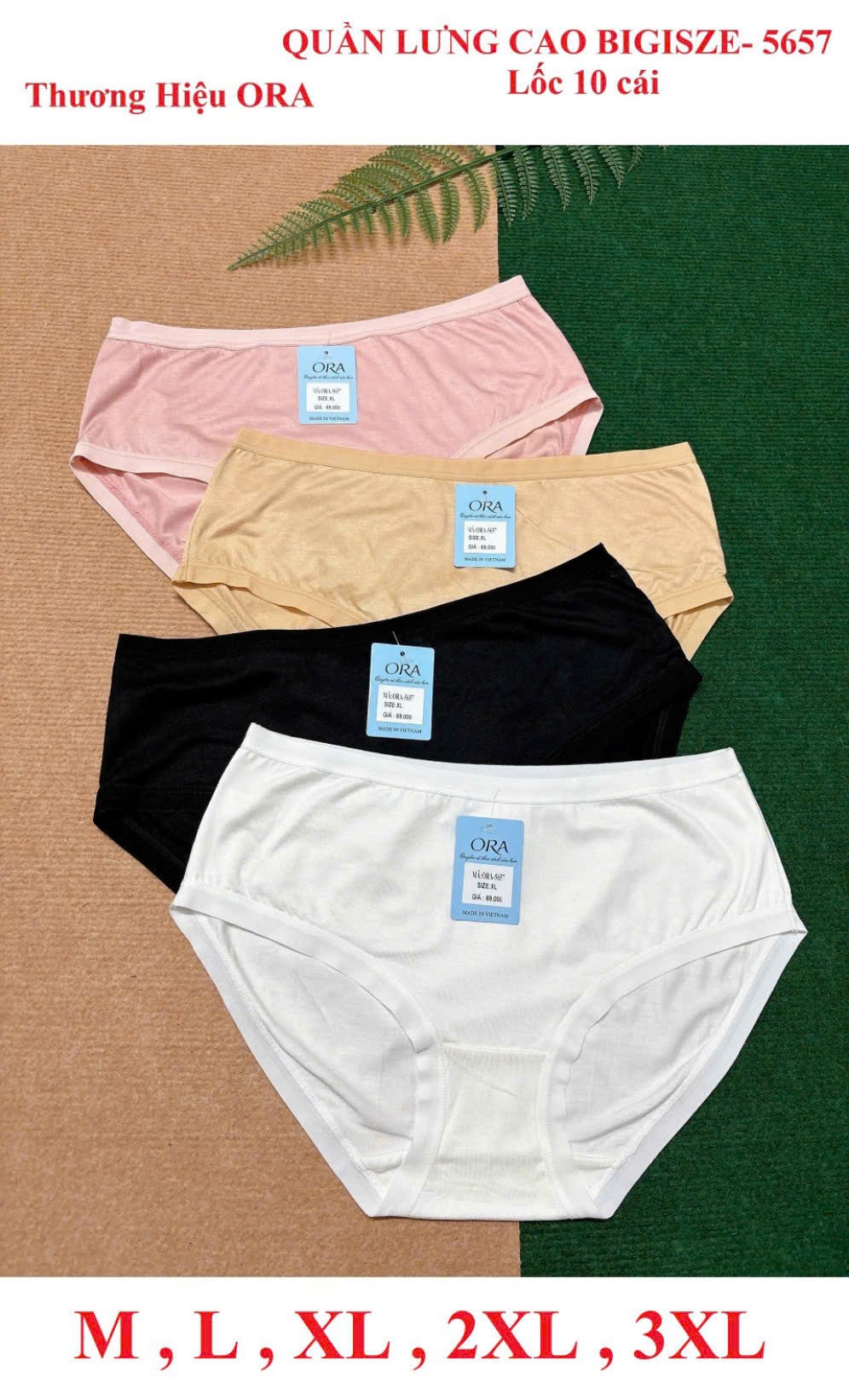 Block 5 cái quần lót nữ cotton lưng cao ORA5657