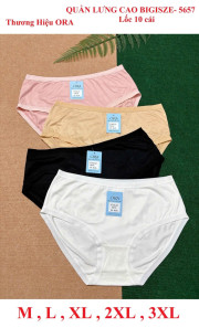 Block 5 cái quần lót nữ cotton lưng cao ORA5657