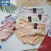 Block 5 cái quần cotton lưng cao 5509
