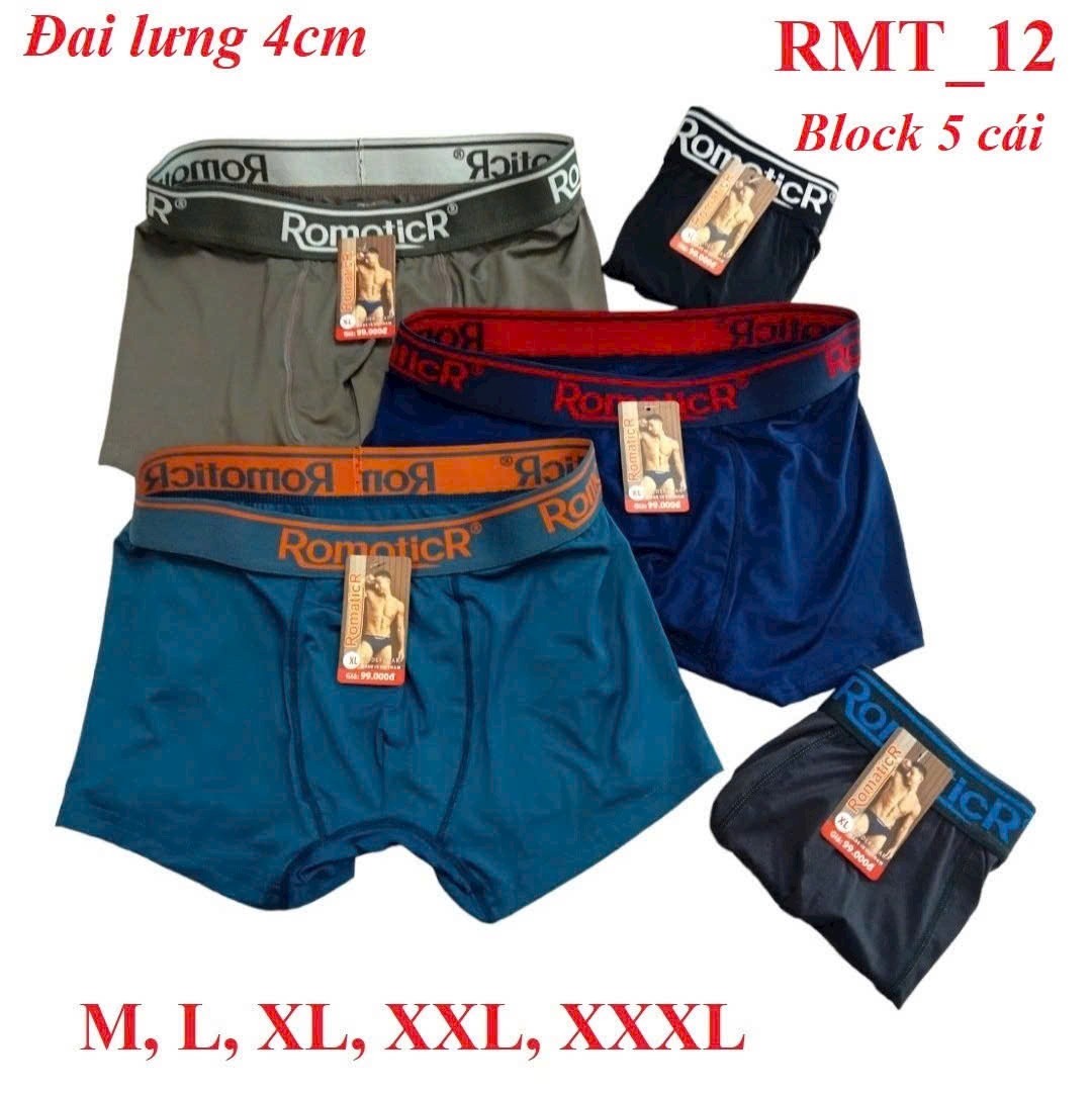 Block 5 cái quần lót nam dạng đùi mã RMT12 hàng Việt Nam