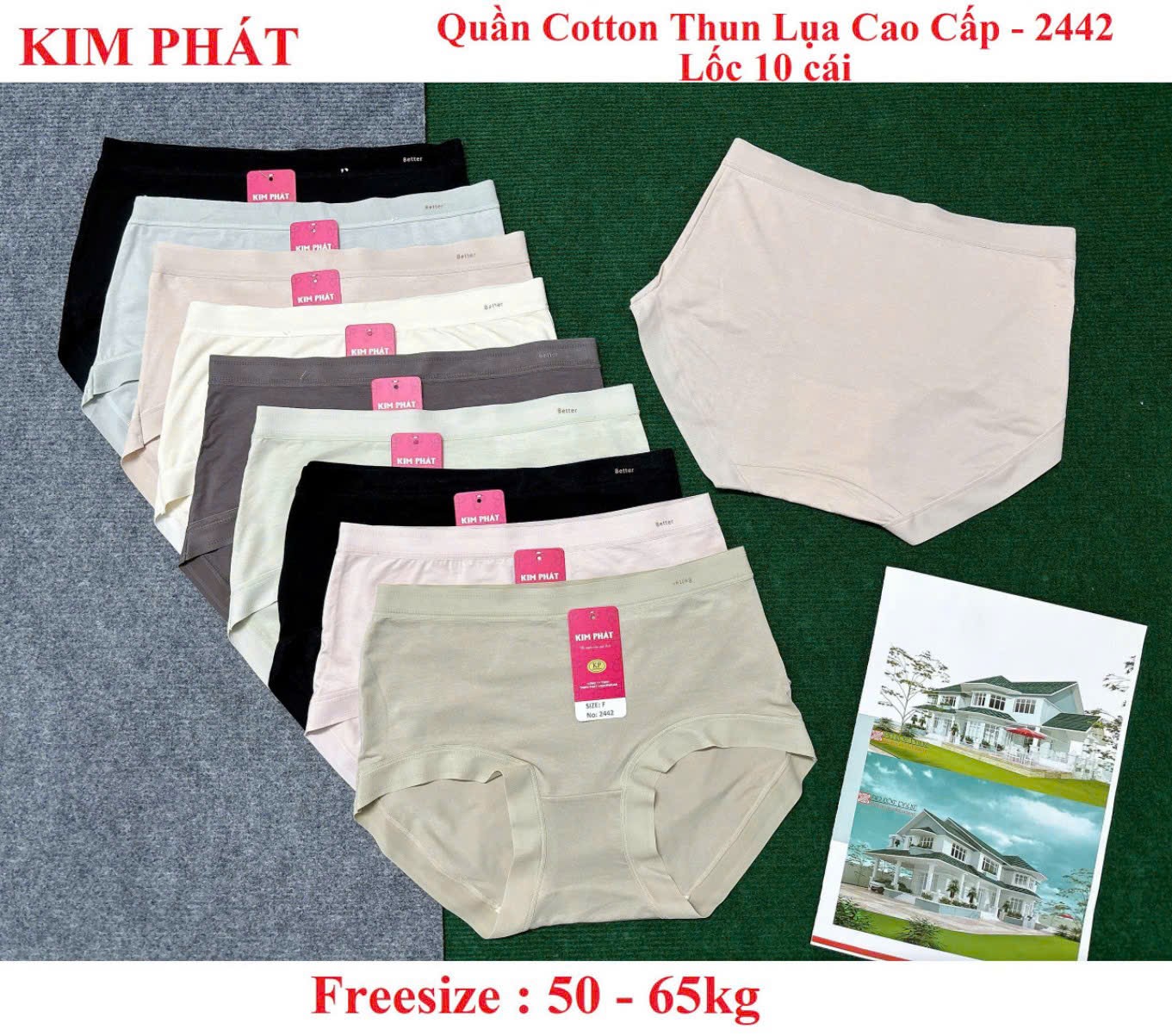 Block 5 cái quần cotton lụa lưng cao chuẩn đẹp mã 2442