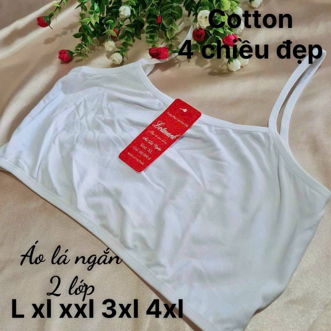 Block 2 cái áo lá học sinh 2 lớp không mút Lotmat